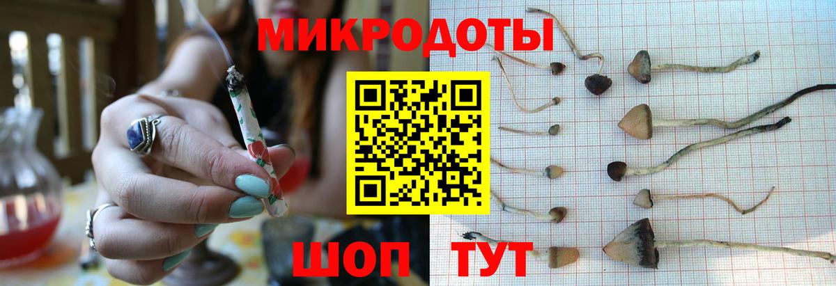 Псилоцибиновые грибы GOLDEN TEACHER Балашов