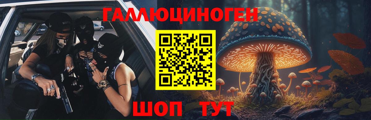 Балашов  Галлюциногенные грибы Magic Shrooms  Вход с VPN 