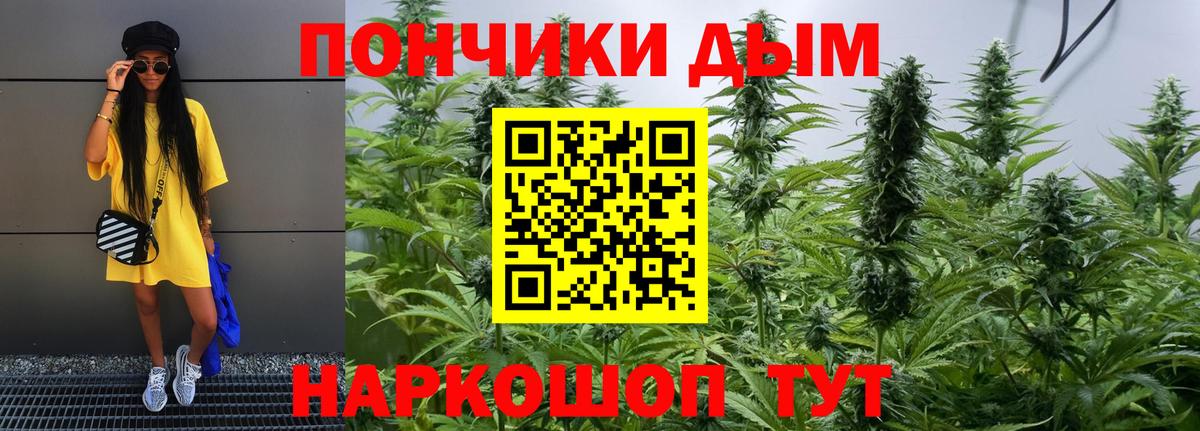 Бошки марихуана MAZAR  Шишки марихуана VHQ  Вход с VPN  Каннабис THC 21%  Балашов 
